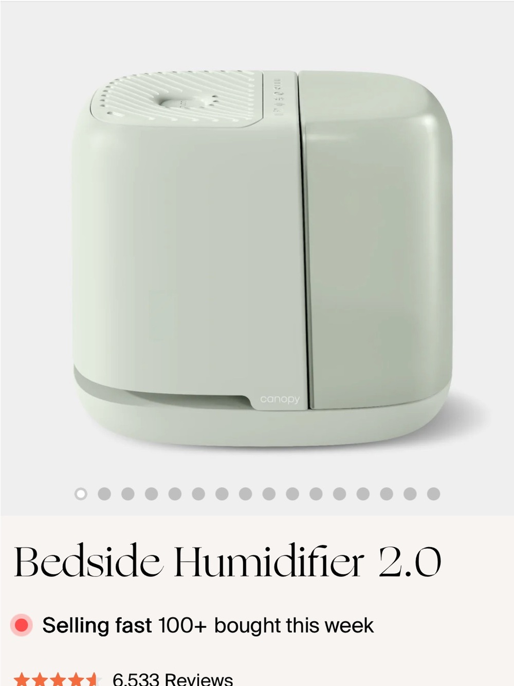Canopy Sage Green Humidifier
